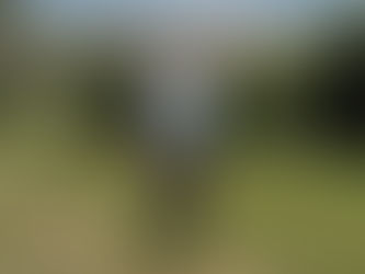 Libera juez federal a Pedro Segura por falta de pruebas