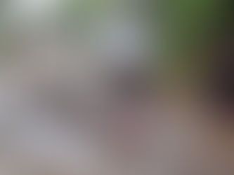 Huracán Erick deja dos muertos y severos daños en el sur de México