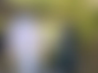 ¿Calidad Hot Sale? Llegan a la CDMX dos brasileños para reforzar a Pumas