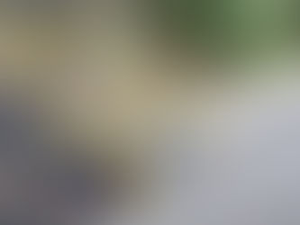 Mueren motociclista y adulto mayor tras accidente en Chilpancingo