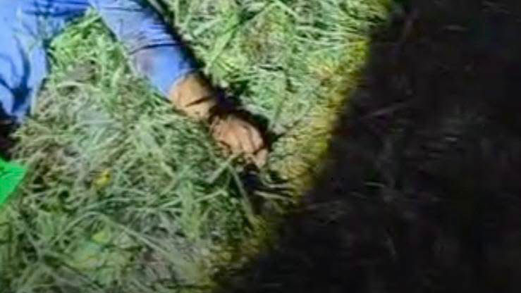 Hallan cadáver con impactos de bala en las inmediaciones de El Naranjo