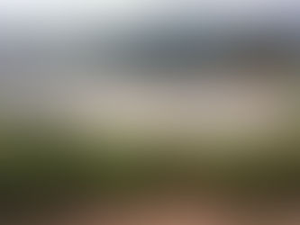 Encuentran cadáver en la laguna de Tixtla; podría ser trabajador del IMSS desaparecido