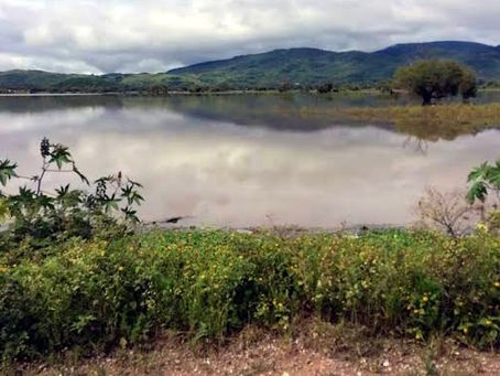 Encuentran cadáver en la laguna de Tixtla; podría ser trabajador del IMSS desaparecido