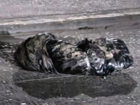 Localizan restos humanos en bolsas sobre el bulevar Lázaro Cárdenas de Acapulco