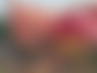 Se desploma globo aerostático en San Martín de las Pirámides; hay 12 heridos