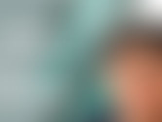 Lo que OTIS se llevó