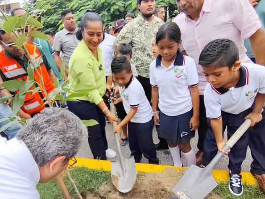 Inicia Acapulco arborización con 262 árboles en avenida Ruiz Cortines