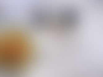 Alertan por presencia de gusano barrenador en mascotas de Acapulco