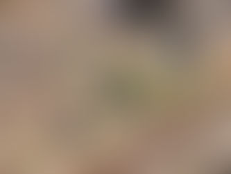 Localizan tres cuerpos en el tramo carretero Ocotito-Tlahuizapa