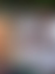 Venezolanos en el exilio acusan a Sheinbaum de mentir sobre recepción de deportados