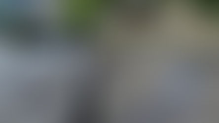 Hallan cuerpo desmembrado en el fraccionamiento Magallanes de Acapulco