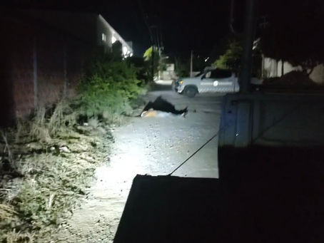 Hallan a un hombre asesinado a balazos en Iguala