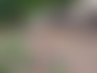 Hallan cuerpo sin vida en arroyo pluvial tras fuerte tormenta en Ometepec