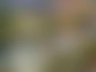 México y EU alcanzan acuerdo por agua y frenan amenaza arancelaria