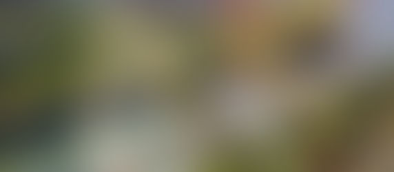 México y EU alcanzan acuerdo por agua y frenan amenaza arancelaria