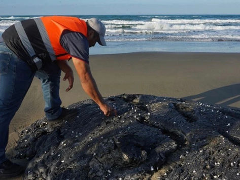 Sheinbaum: sin identificar responsable de derrame en Veracruz y Tabasco