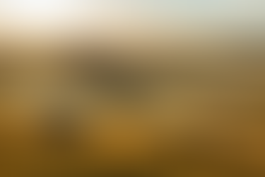 Das Val d’Orcia | Inspiration seit Jahrhunderten