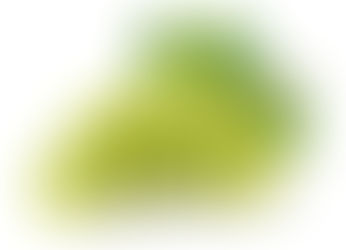 Herausragende Weißweine der Toskana