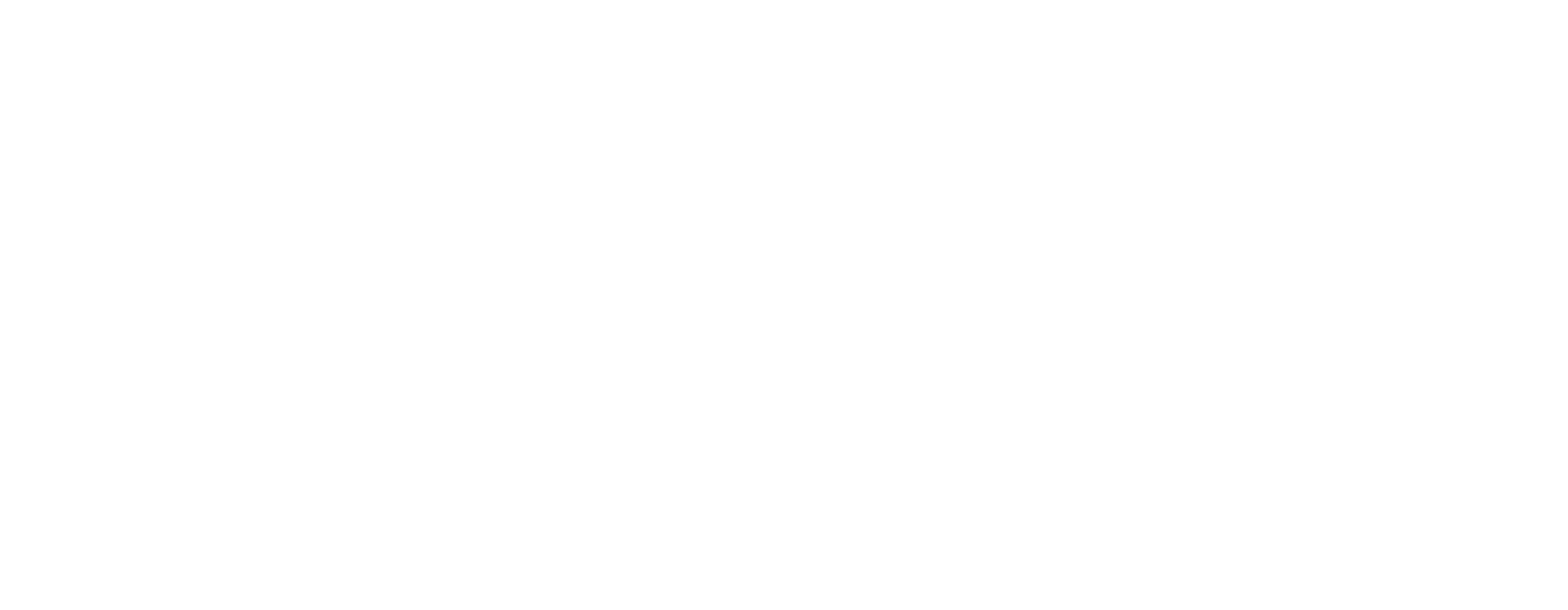 logo_ramoni_apartments_white_transparent.png