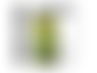 No5 | SIGNATURE by Dianium Residence