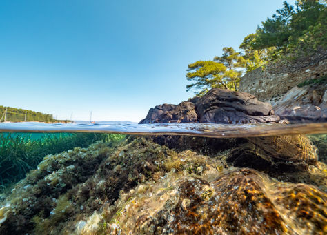 Goldene Inseln | Port-Cros