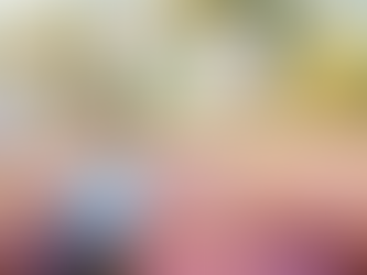 Die Provence, ein Paradies