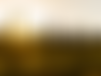 Die Seele der Landschaft im Bild