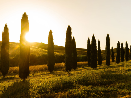 Die Seele der Landschaft im Bild
