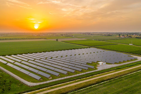 4MW Solarpark Mecklenburg-Vorpommern.jpeg