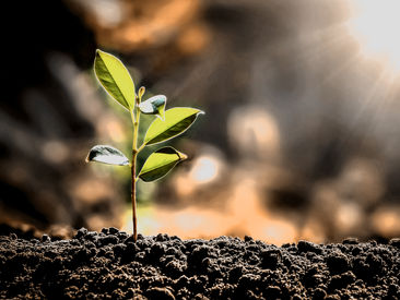 The transformation topic of sustainability
