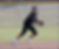 IMG_5377.PNG
