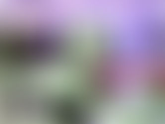 Intelligenza Artificiale e pandemia