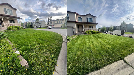 Untitled design (1).jpg