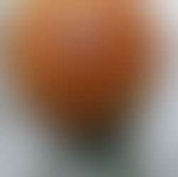 The Perfect Gluten Free Pie