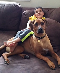 Savanna Ridgebacks
