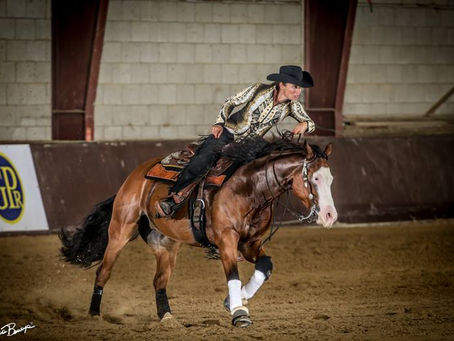 Belgium Futurity - 3 & 4 Year Old Open