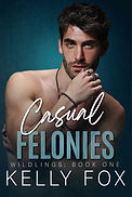 W1 Casual Felonies eBook cover.jpg