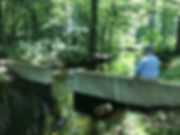IMG_5655.jpeg