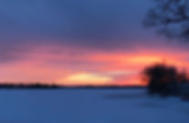 IMG_4721.jpeg