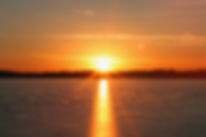 IMG_7619.jpeg