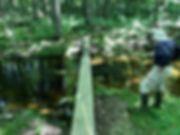 IMG_5649.jpeg