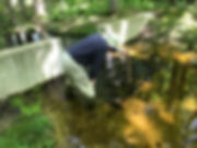 IMG_5650.jpeg