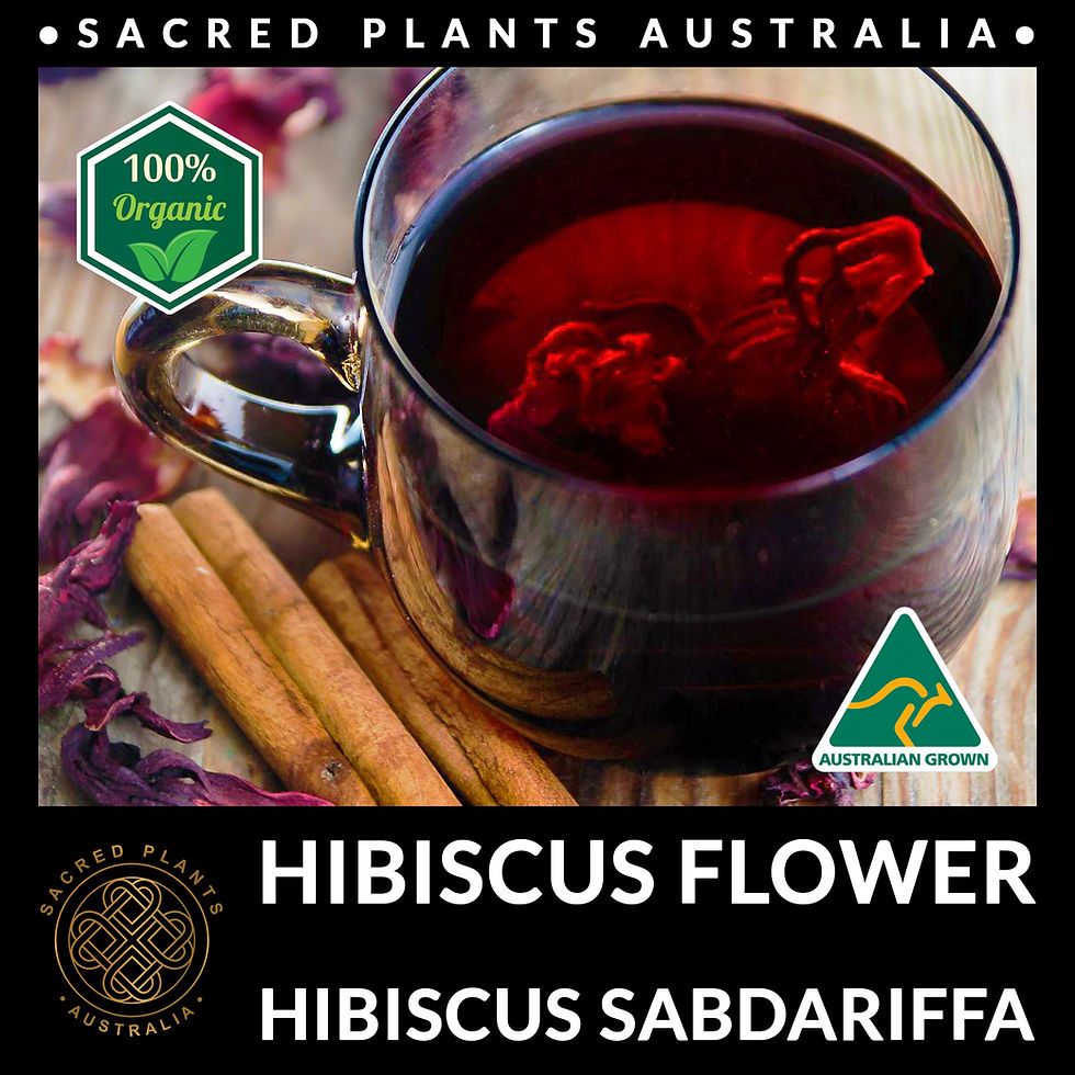 Organic Hibiscus Flower tea in dark glass cup with cinnamon sticks and deep red Australian grown infusion
