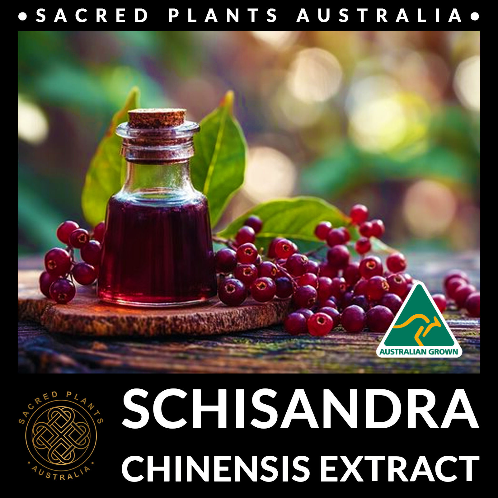 Schisandra Chinensis Extract in a glass with fresh berries
