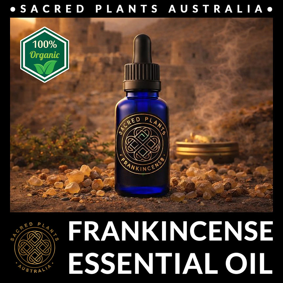 Thumbnail: Organic Omani frankincense essential oil Boswellia sacra high quality sacred resin extract