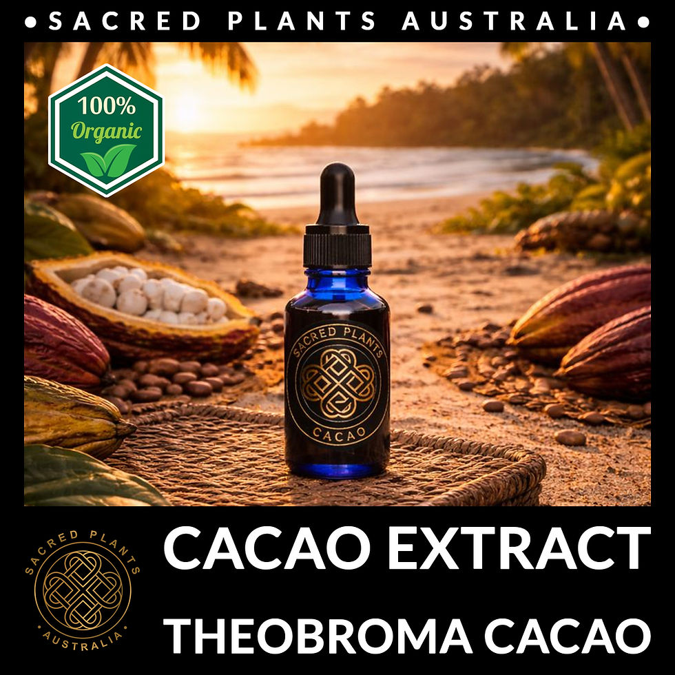 Thumbnail: Small batch cacao extract designed for ceremonial cacao drinks and refined cooking