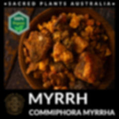Premium Myrrh Resin from Commiphora myrrha, offering powerful therapeutic and aromatic benefits.