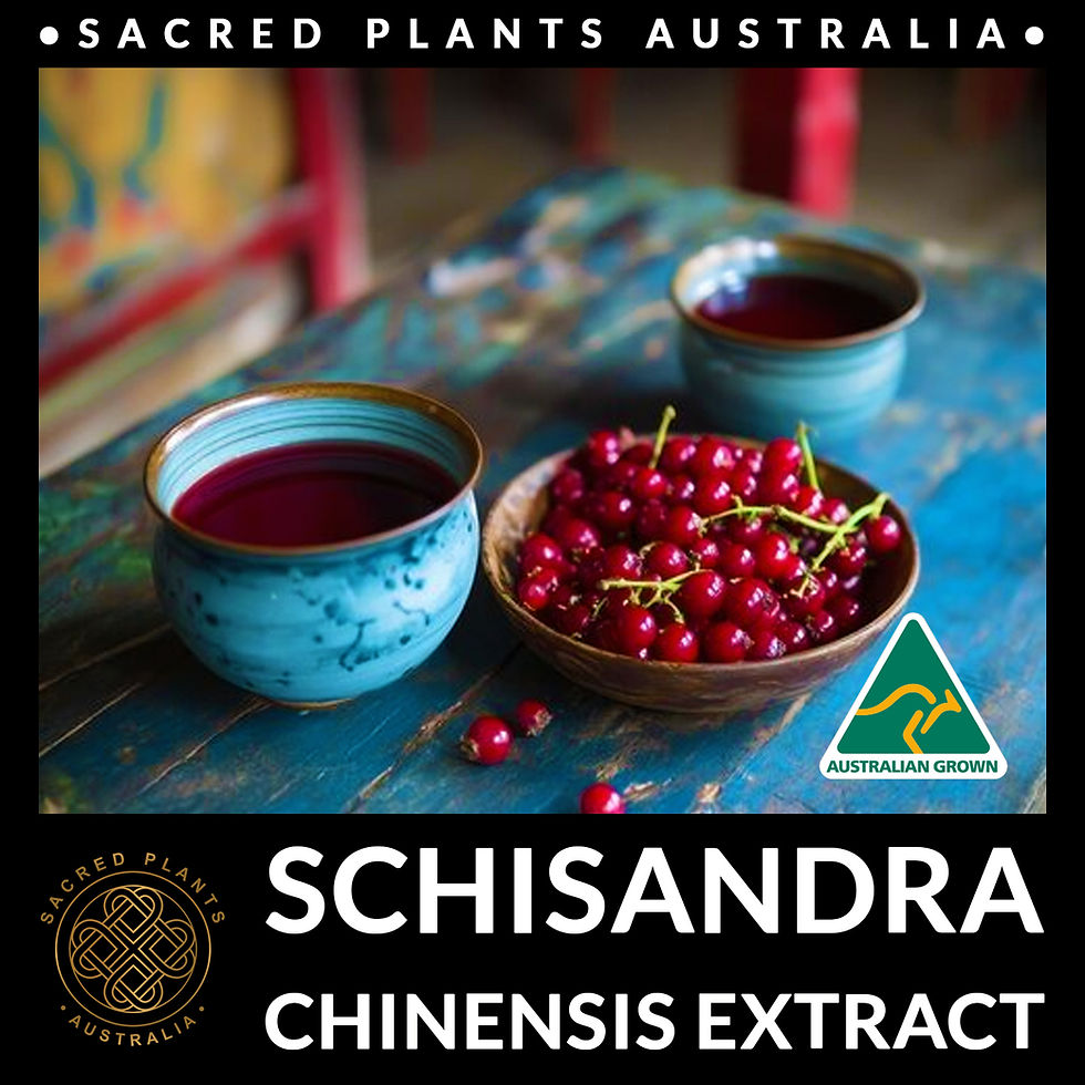Thumbnail: Schisandra tea with dried Schisandra berries
