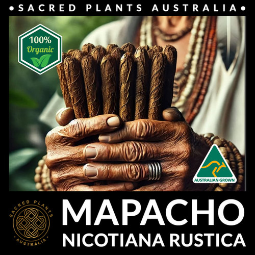 MAPACHO Seeds