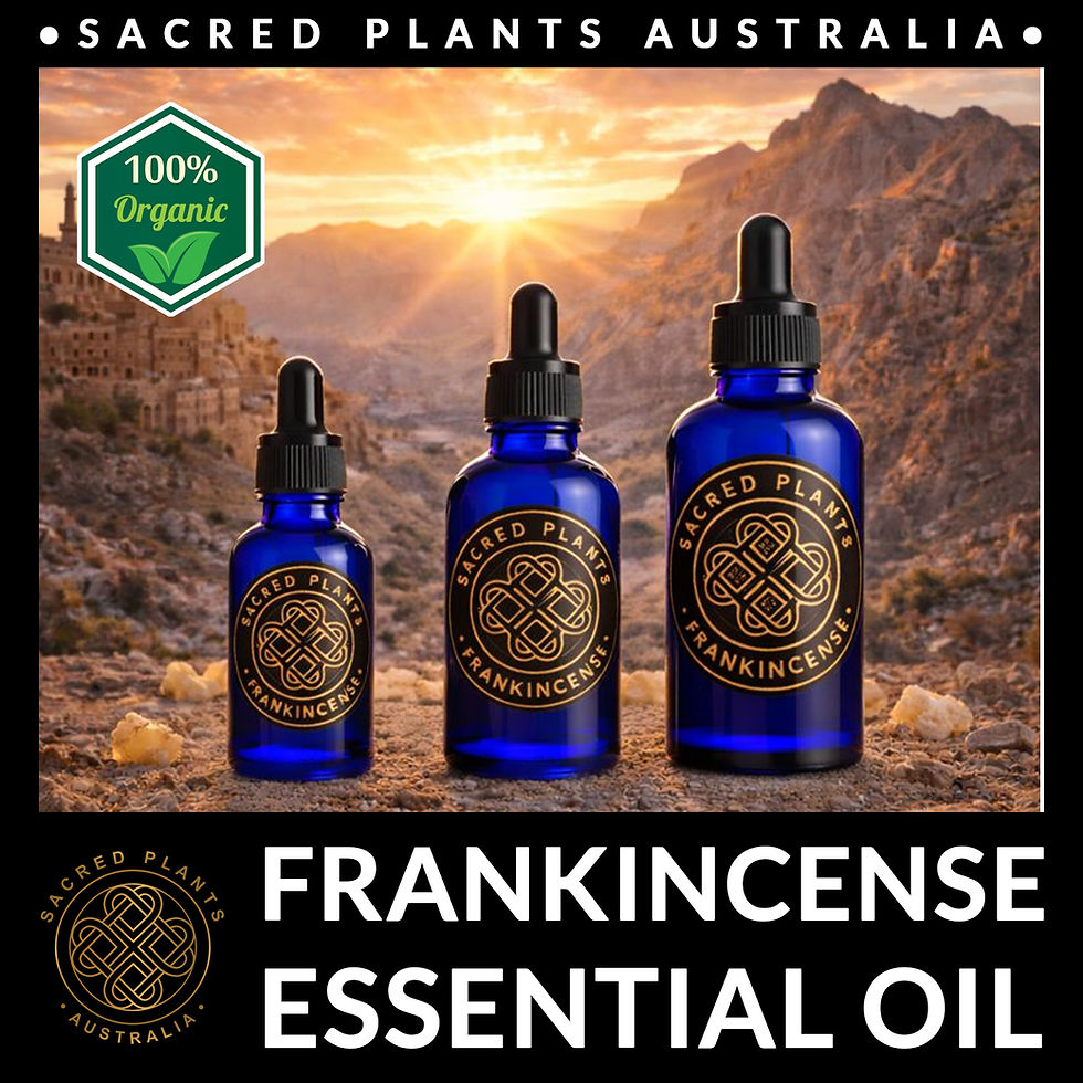 Thumbnail: Frankincense essential oil Boswellia sacra from ancient trees in Oman 10ml 50ml 100ml sizes